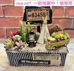 専用♡多肉植物の寄せ植え♡そのまま飾れる