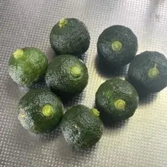 新鮮な青柚子 8個セット【無農薬】のサムネイル