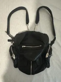 Alexander wang archive leathe bagのサムネイル
