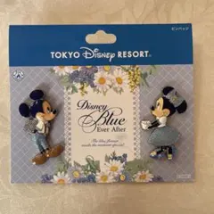 東京ディズニーリゾート ミッキー ミニー ピンバッジセット