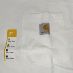 Item thumbnail for item 8c121022-2cba-4f01-97e3-cbb8e9f6aaa5