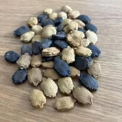 まる様 リクエスト 2点 まとめ商品