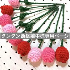 タンタン断捨離中様専用ページ