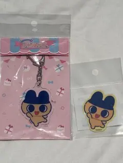 たまごっちのおみせ　ポップアップ　まめっち　アクキー ステッカーセット