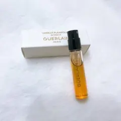 2025年最新】ヴァニーユ プラニフォリアの人気アイテム - メルカリ