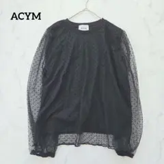 ACYM ブラウス ドット シアーチュール 長袖 トップス 黒 パフスリーブのサムネイル