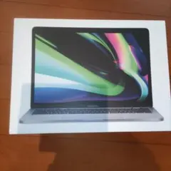 MacBook Pro 13インチ (256GB)