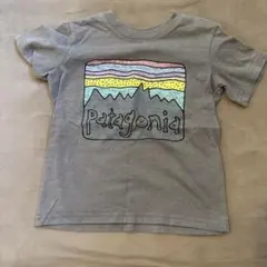 Patagonia グレー エメラルドTシャツ 3T 2枚