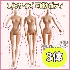 【3体】可動ボディ バービー人形 リカちゃん人形 1/6サイズ 26cm a