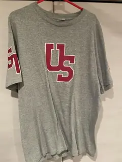 ステューシー 00sメイドインUSA Tシャツ グレー　 サイズL