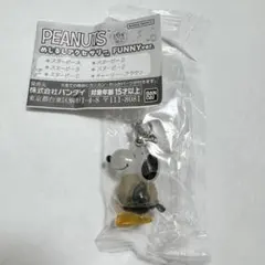 PEANUTSめじるしアクセサリー