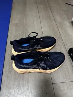 Item thumbnail for item 97b83ac1-07c3-4222-bb18-0b4845935605