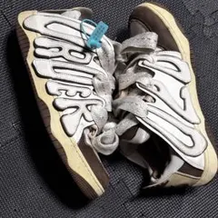 Item thumbnail for item bfaff016-f234-4e0b-85e4-e331125f7b60