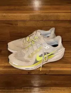 Nike ランニングシューズ ペガサス41