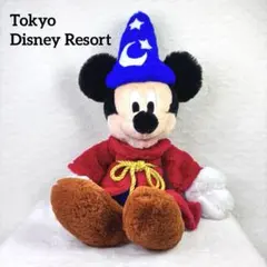 ディズニー ミッキー 誕生日 ぬいぐるみ 2019年 フラッフィープラッシー ディズニー ミッキー 誕生日 ぬいぐるみ 2019年 フラッフィー