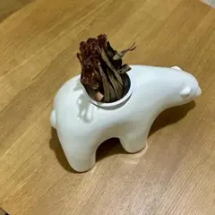 2026年最新】リサラーソン シロクマの人気アイテム - メルカリ