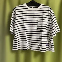 Item thumbnail for item 4dbc5407-48ec-46db-874a-e2168fd57d7b