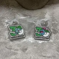 ポケモン 30周年メタルチャームマスコット めじるしアクセサリー