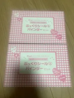 【Cuugal６月号付録】エスターバニーコラボ　ぷっくりシール＆バインダーセット