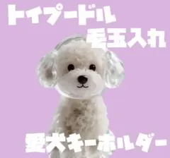 Item thumbnail for item 42b87851-6367-4183-82b3-21753d17eda3