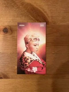 ★SEVENTEEN BSS TELEPARTY ホシ★