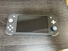 2026年最新】nintendo switch lite グレーの人気アイテム - メルカリ