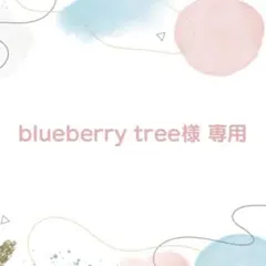 【Mサイズ】東京ディズニーリゾート Tシャツ