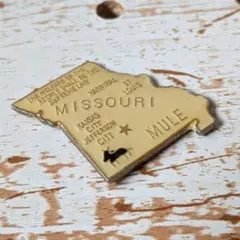 Item thumbnail for item 7d2b05dd-6fb3-42b4-95a5-3b8c4e0013ea