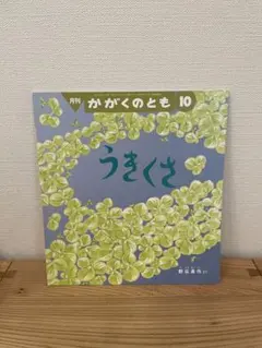 ぺりかん様 リクエスト 2点 まとめ商品