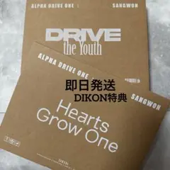 ALD1 シンロン DICON D'PARTMENT 特典トレカ 写真集 - メルカリ