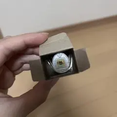 リンコレ　たまごっち　4 パッケージ付きのリングコレクション　くろまめっち