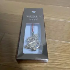Prosperity charm 財富御守　シンガポール　ドラゴン　キーホルダー