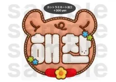 ヘチャン NCT127 NCTDREAM うちわ文字 ネームボード フェルト風