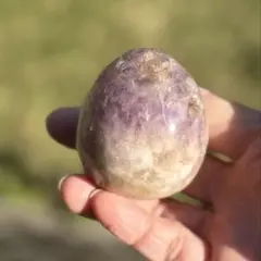 ピンクアメジスト ピンアメ 笑い口 花 赤 - メルカリ