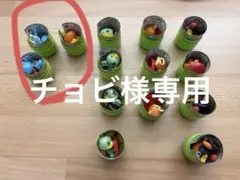 チョビ様専用　ゼニガメ×2 アチャモ×1