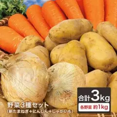 野菜3種セット（新たまねぎ・にんじん・新じゃがいも）各約１kg 合計３kgのサムネイル