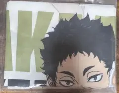 Item thumbnail for item 4cf1f55d-0df7-47d9-8654-4e6e9c18dc7b