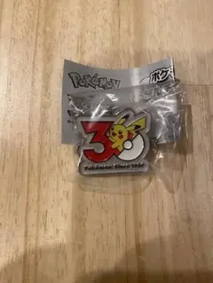 【新品未使用】ポケモン 30周年記念 メタルチャームキーホルダー ピカチュウ1