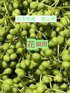 10天然 山椒の実 500g以上 採りたて 青森産 ☆クール便 - メルカリ