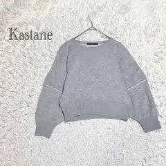 カスタネ　トレーナー　スウェット　F コットン100 ショート丈　ワイドスリーブ
