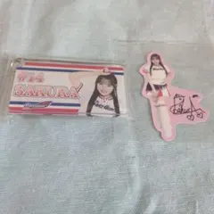 ヤクルトスワローズ Passion #14SAKURA アクキー、ステッカーのサムネイル