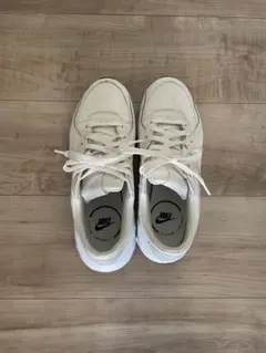 Item thumbnail for item b8c4f005-f560-4a13-8c47-feb10232a3cd