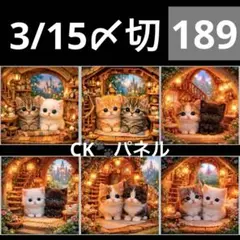 新柄♥️期間限定レアパネル生地　猫パネル生地　6柄セット　CKパネル