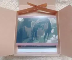 進撃の巨人　ハンジ・ゾエ　ノーブルアートコレクション