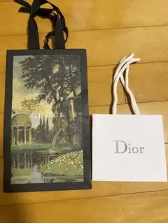 GUCCI Dior ショップ袋　ショッパー