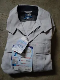 Item thumbnail for item 3eb8198c-8c6a-40a0-be48-214a84c529c4