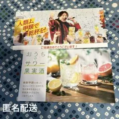 おうちでサワー果実酒　リーフレット狩野英孝チラシ付き