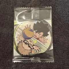 ハイキュー!! シールウエハース ゴミ捨て場の決戦 月島蛍