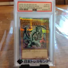 青眼の白龍 psa10