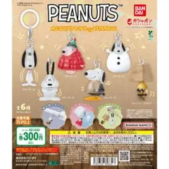 PEANUTS FUNNY Ver. カプセルトイ 全6種